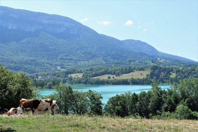 lac d'Aiguebellette 1.JPG