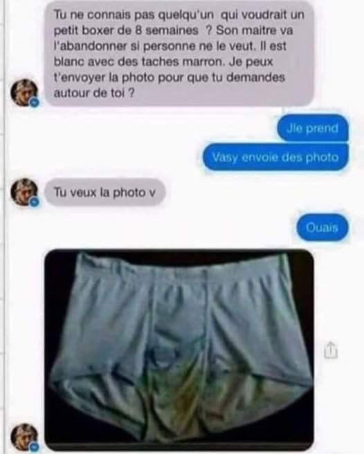 IMG_7415.jpeg