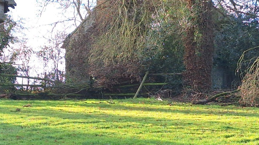 20260109_104904.jpg