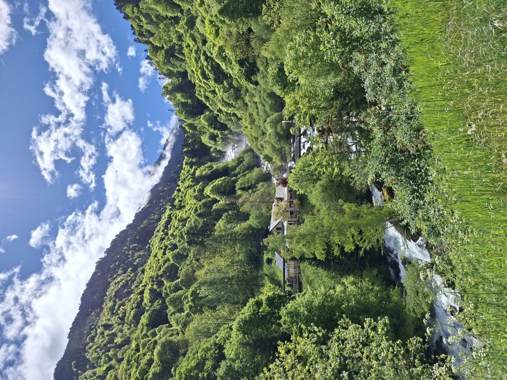 20260506_115414.jpg