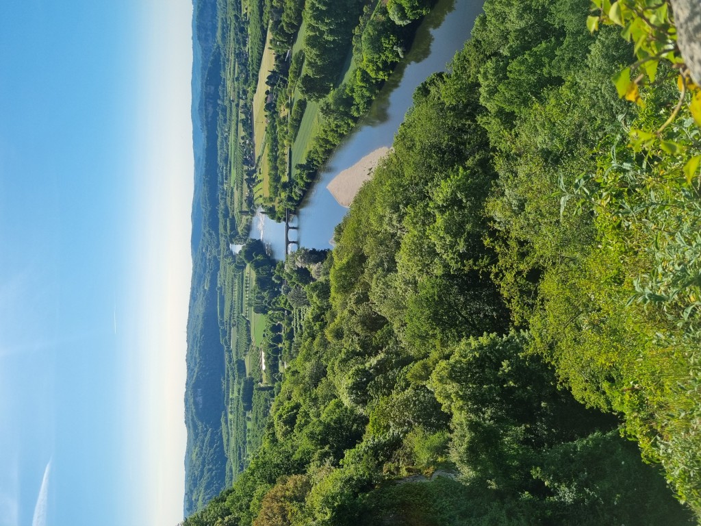 20260522_183546.jpg