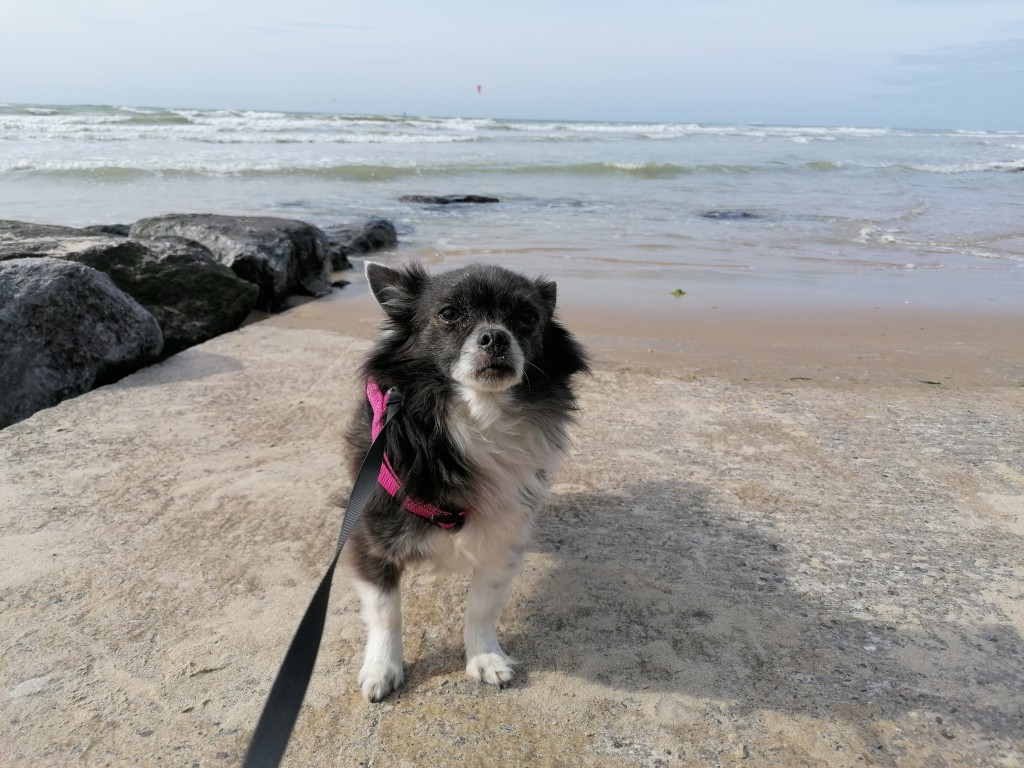 Plage de Wissant.jpg