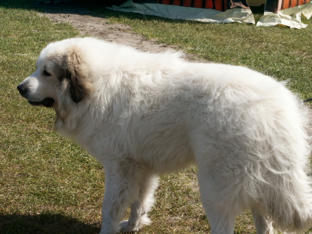 PICT0090.JPG