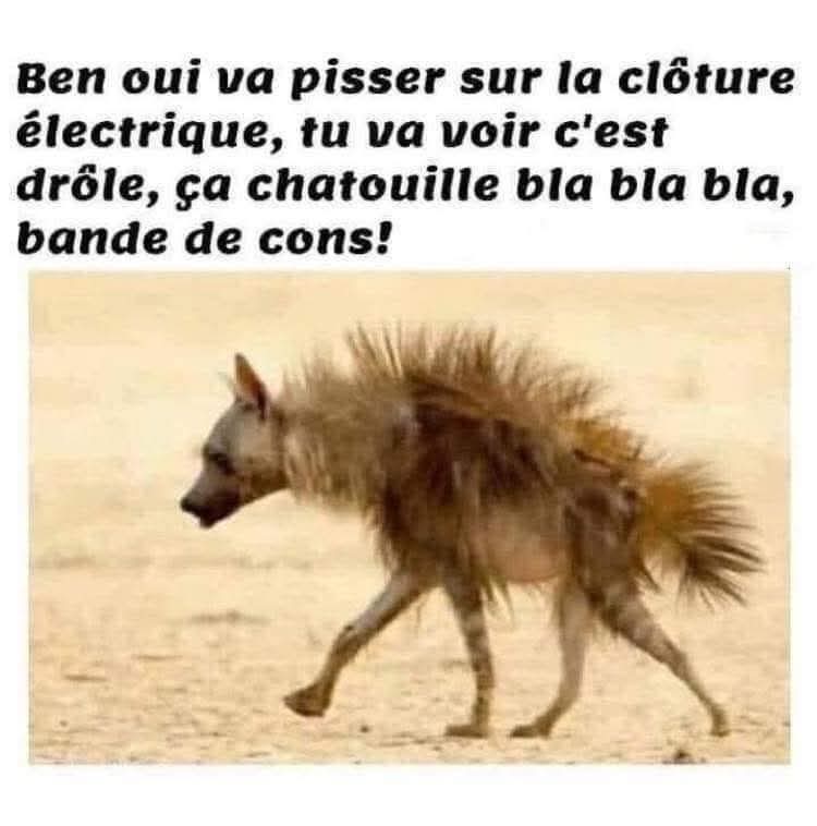 FB_IMG_1788852195022.jpg