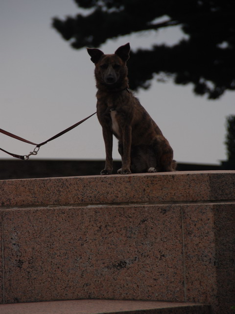Remessa sur son podium a Brest
