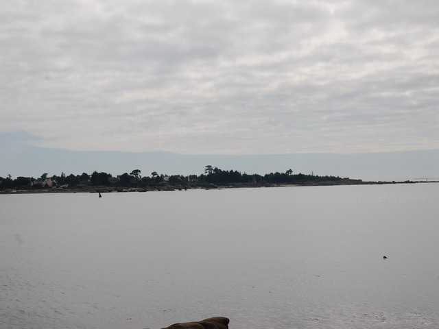 DSC_1070.jpg