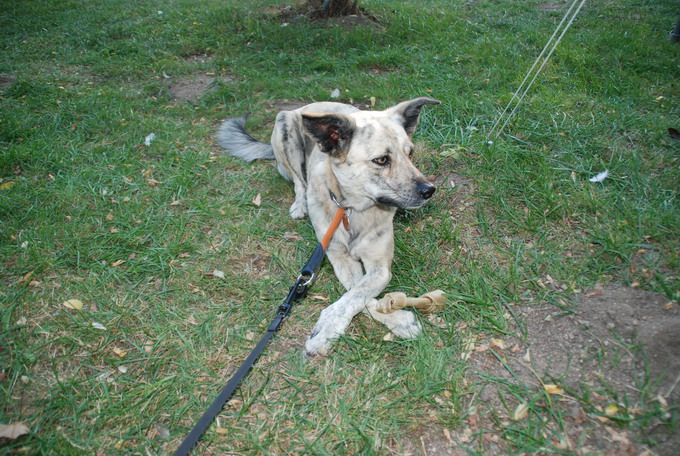 Eole semble être du même avis et l'ont exprimé de manièe bruyante a certain moment.