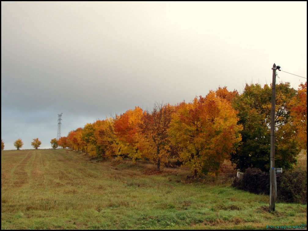 AUTOMNE1 [1000X750].JPG