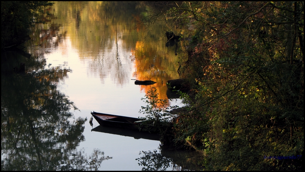 automne3 [1000X750].JPG