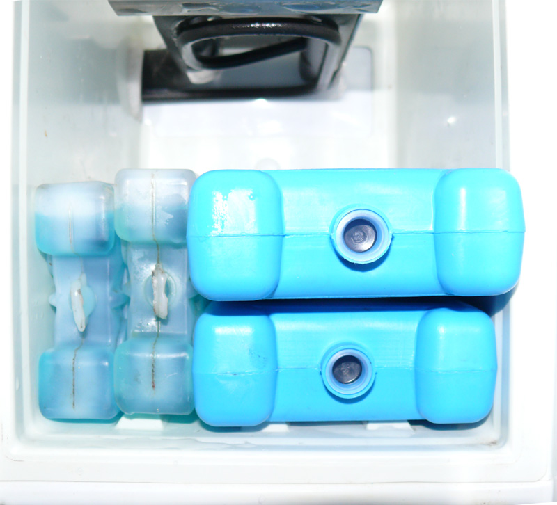 Freezer.jpg