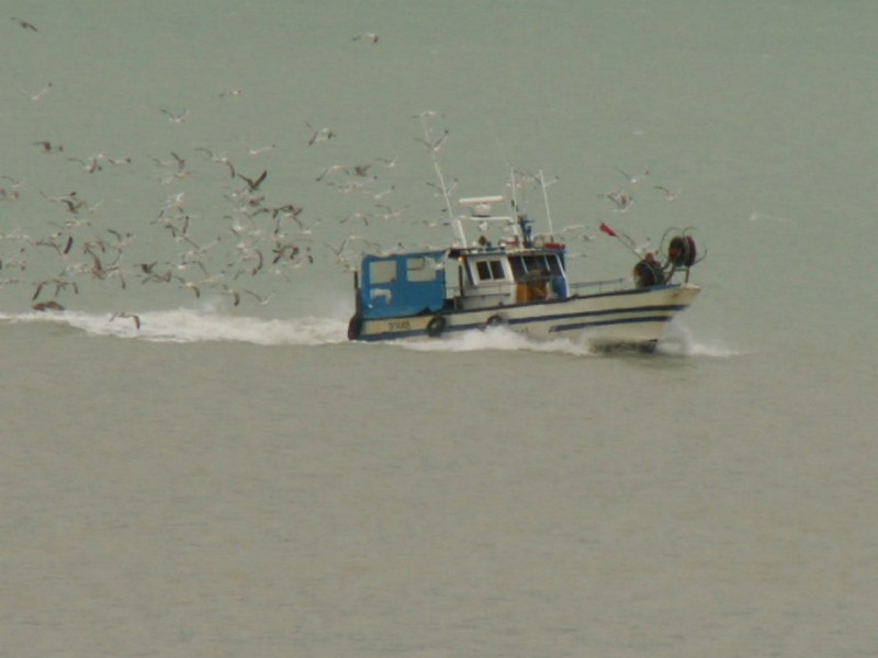 PICT0137.JPG