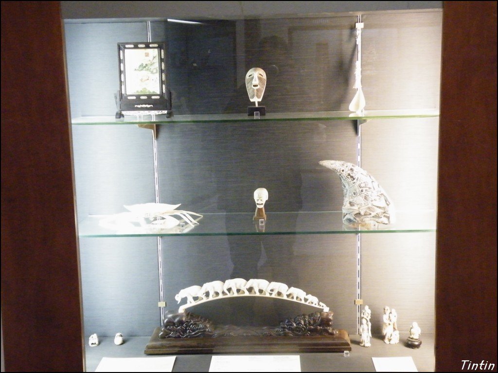 DSCF8570 [1024x768].JPG