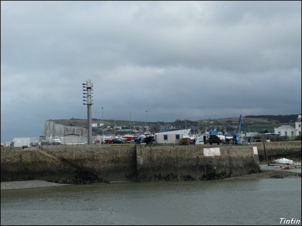 DSCF8697 [1024x768].JPG