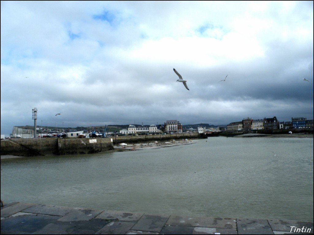 DSCF8698 [1024x768].JPG