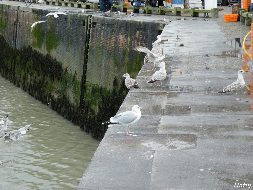 DSCF8712 [1024x768].JPG