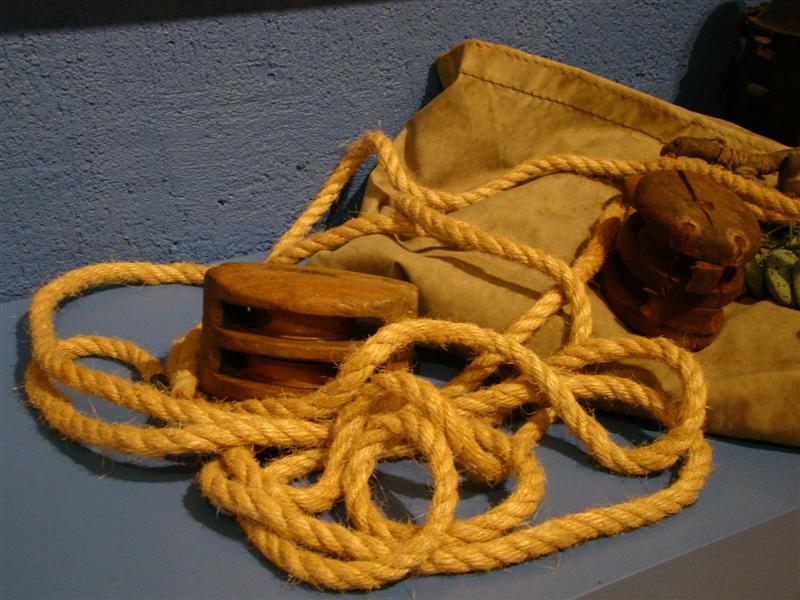 DSC06984 (Medium).JPG