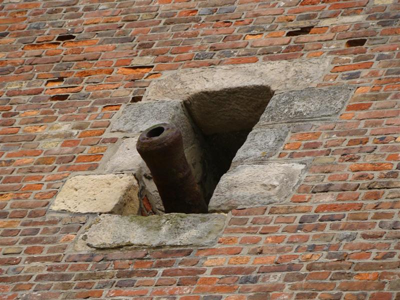 DSC07012 (Medium).JPG