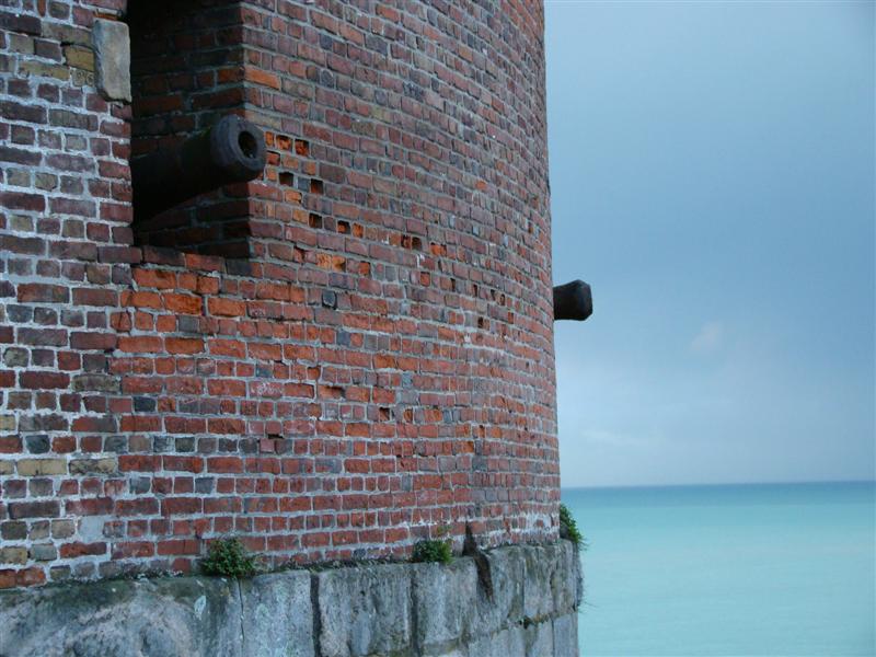 DSC07029 (Medium).JPG