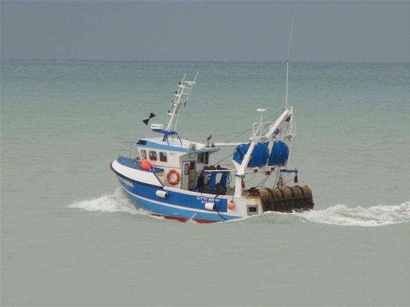 DSC07158 (Medium).JPG