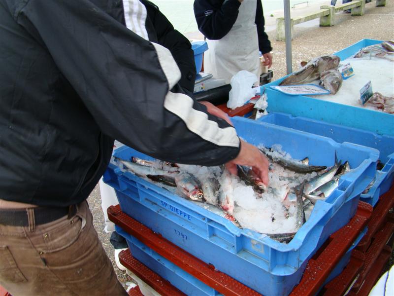 DSC07198 (Medium).JPG