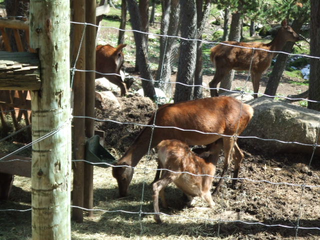 DSCF0510.JPG