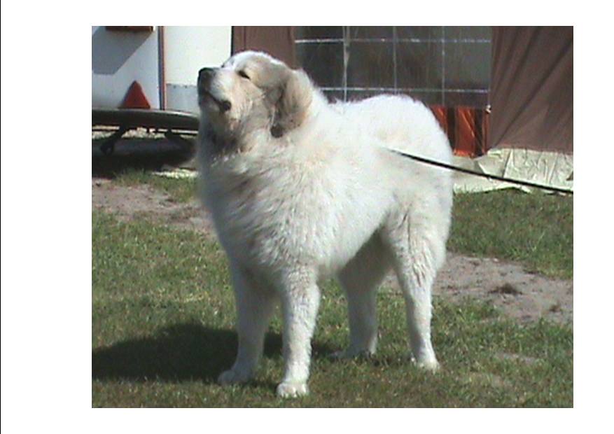 Je vais finir par prendre racine !