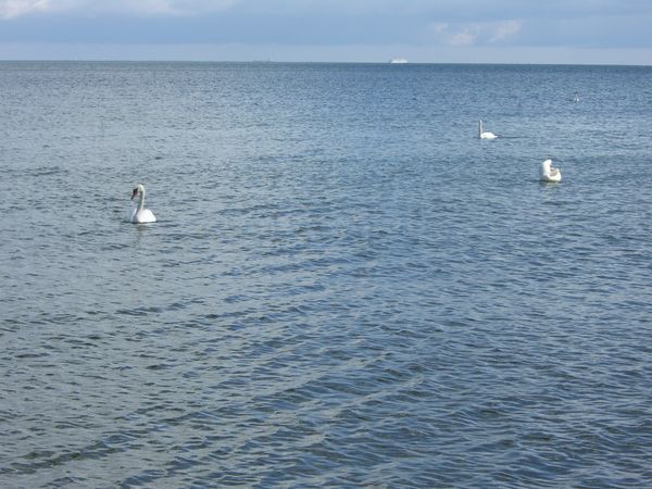 tn_CIMG0077.JPG