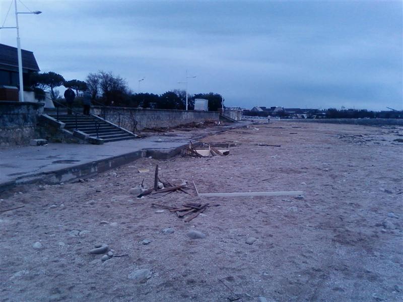 SP_A1290 (Medium).jpg