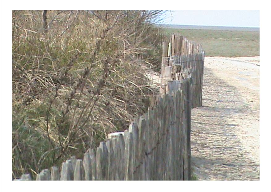 Baie P 10.jpg