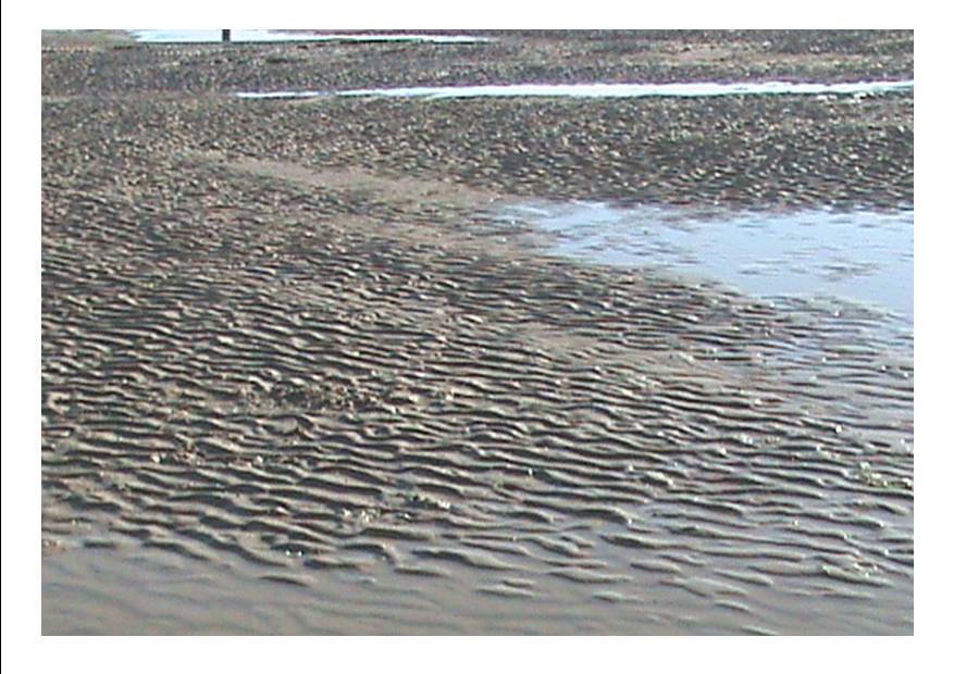 Baie P 16.jpg