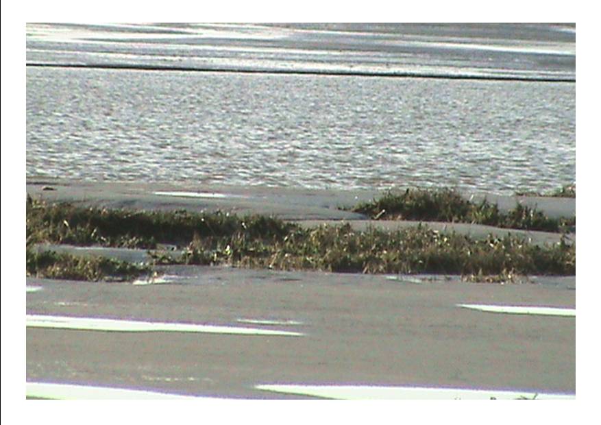 Baie P 27.jpg