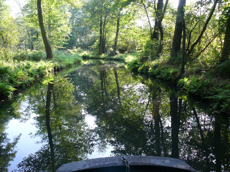 Image01.jpg