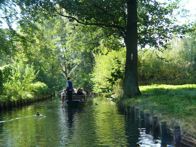 Image05.jpg