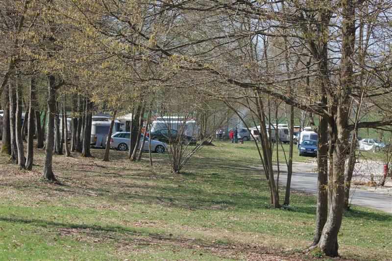 DSC_2954 (Medium).JPG