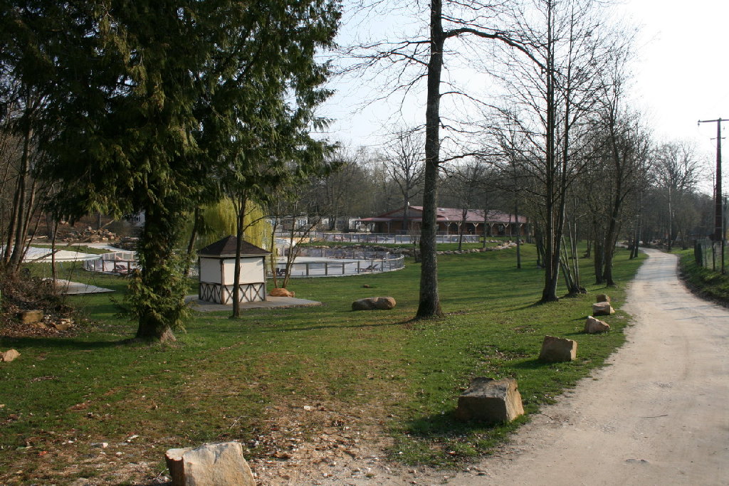 IMG_8154.JPG