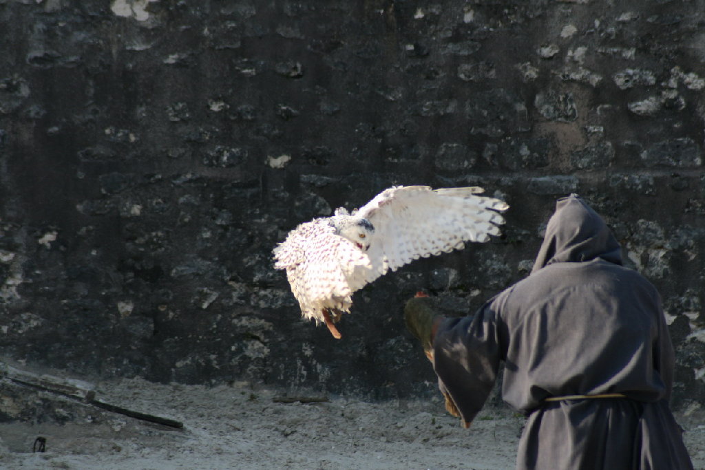IMG_8292.JPG