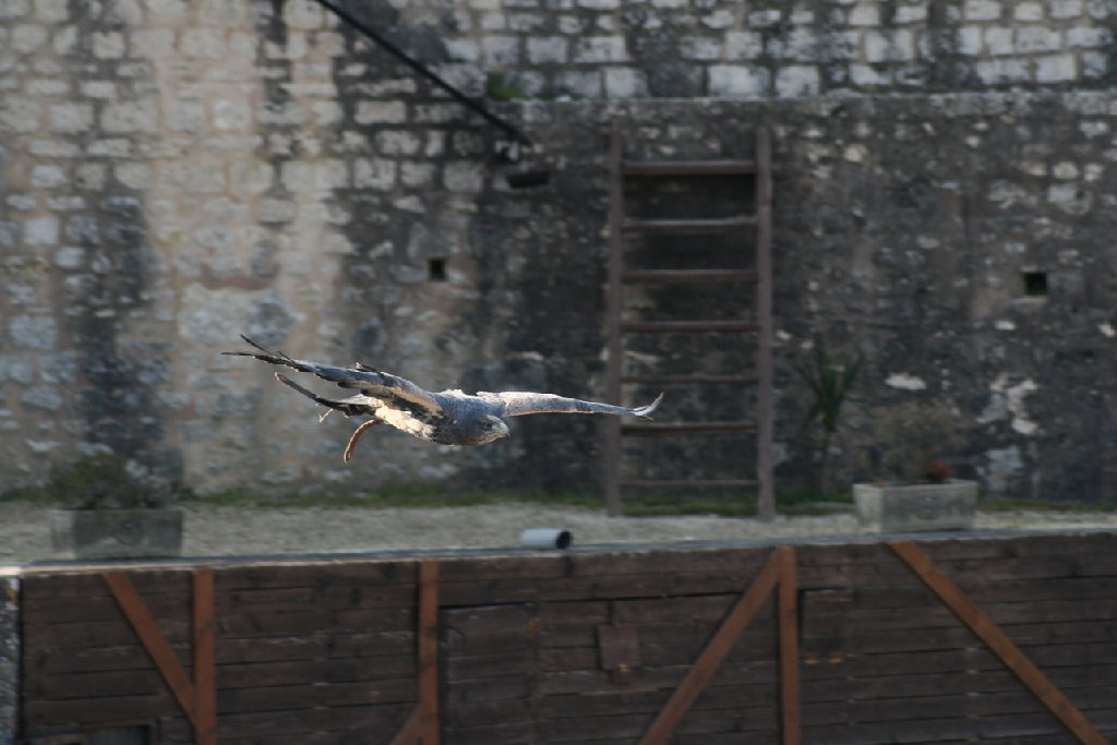 IMG_8294.JPG