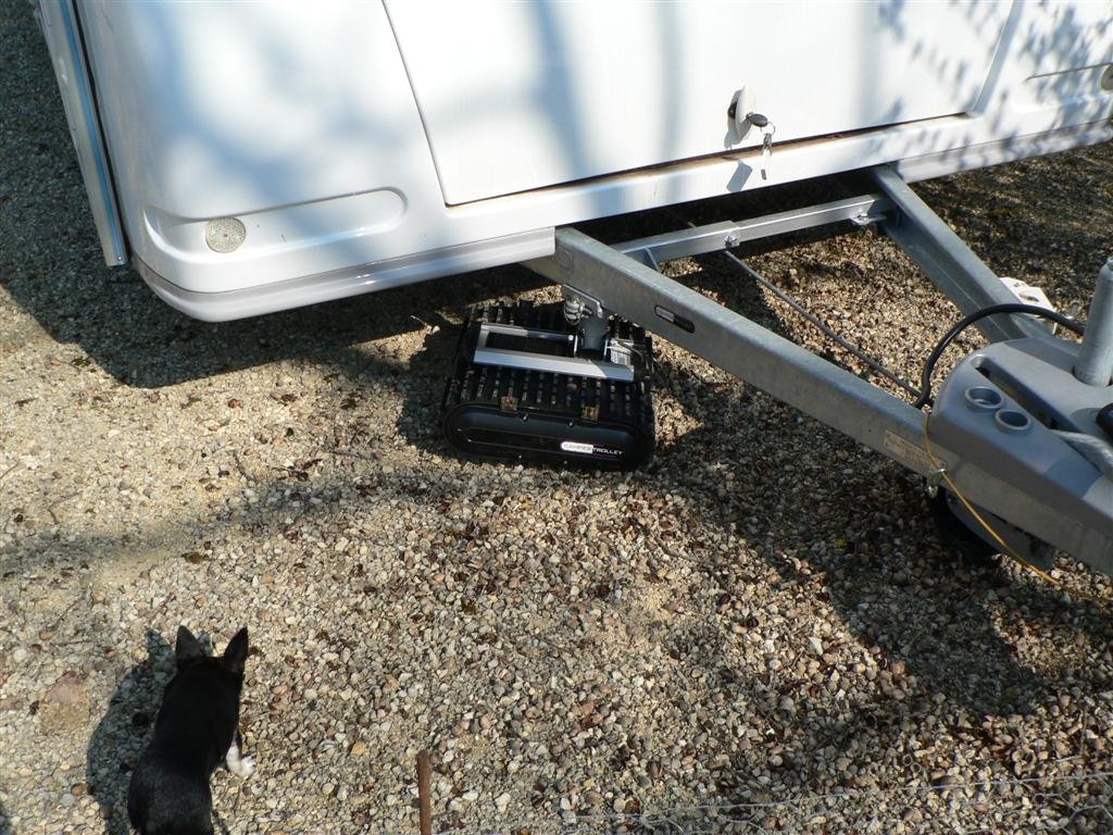 P1040085 (Large).JPG