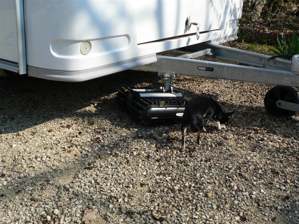 P1040087 (Large).JPG