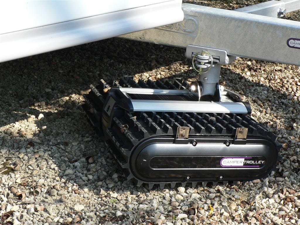 P1040089 (Large).JPG