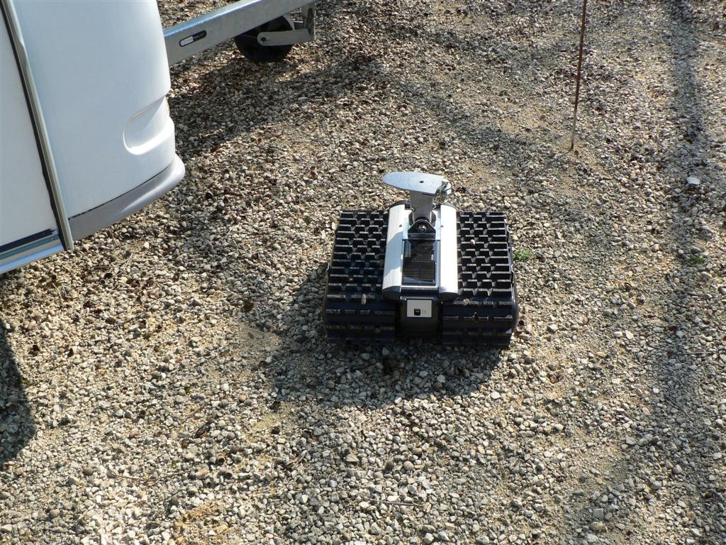 P1040091 (Large).JPG