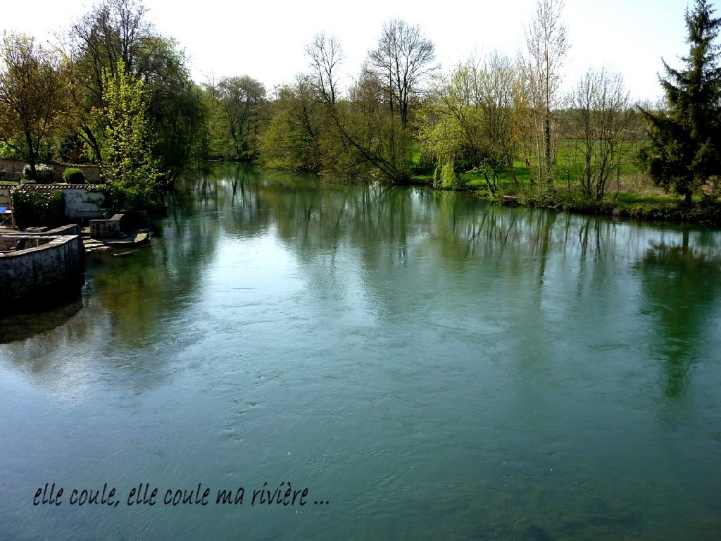 toujours la Charente.JPG