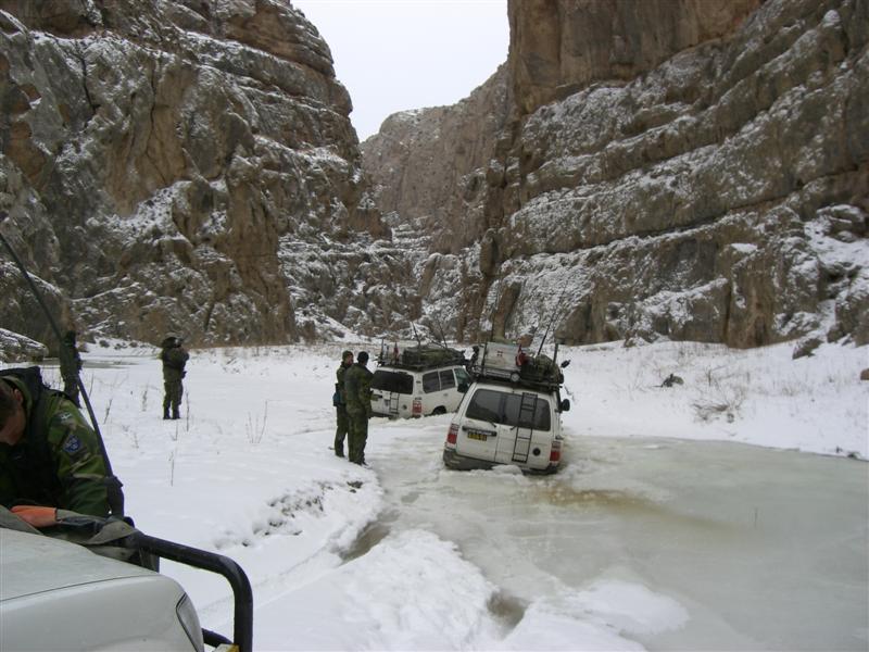 CIMG1117 (Medium) (2).JPG