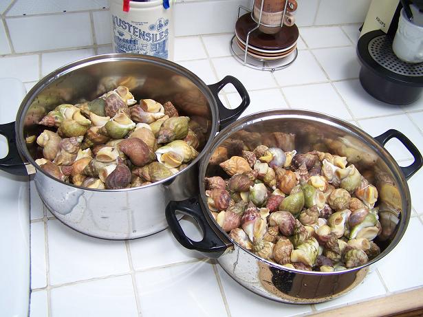100_8707.JPG