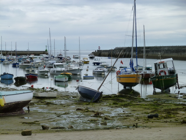 lesconil le port.JPG