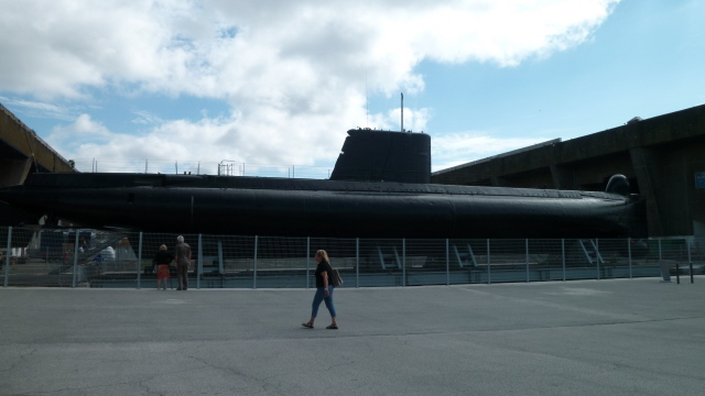 P1000559.JPG