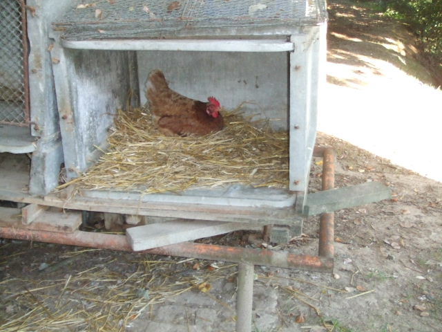 DSCF2704.JPG