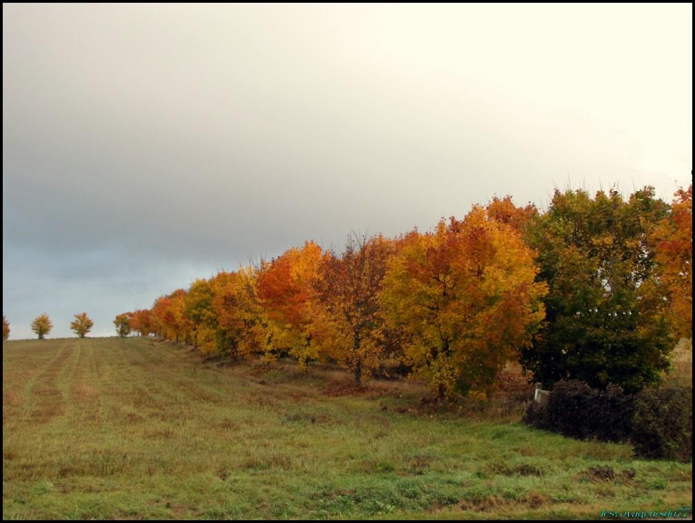 AUTOMNE1%20[1000X750].JPG