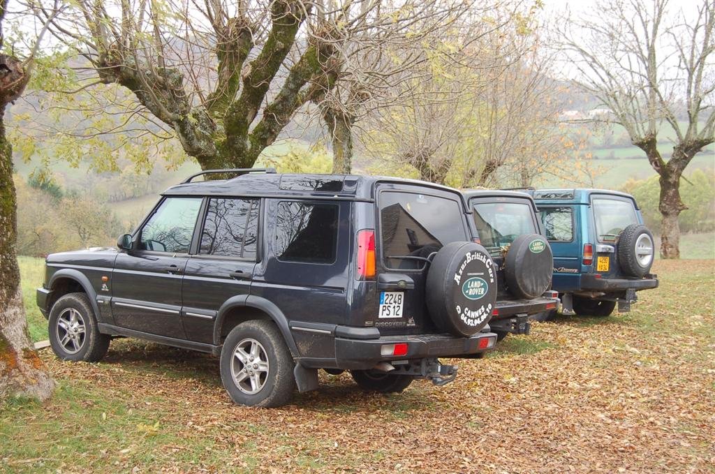 Land Disco Collection (Large).jpg