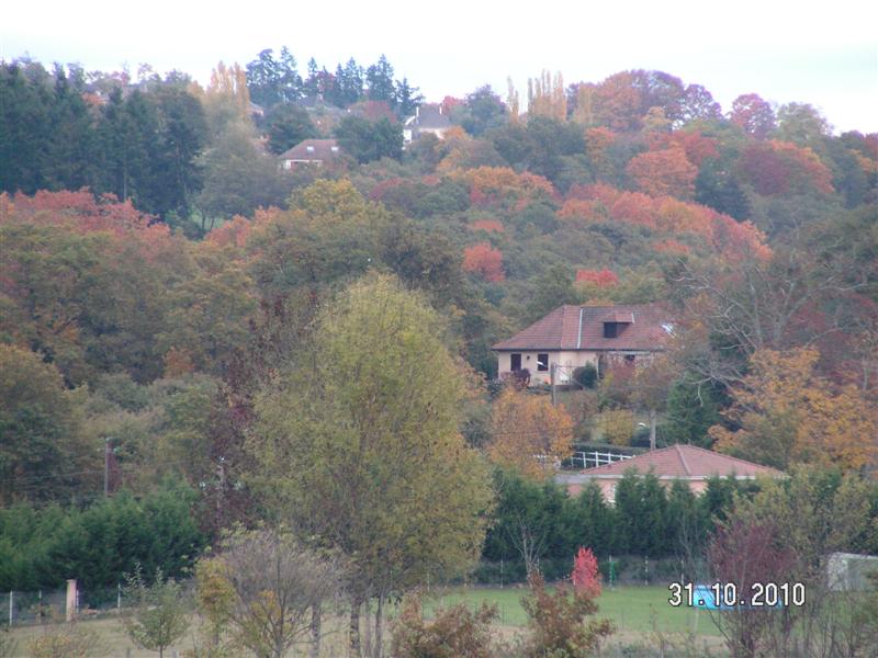 PICT0440 (Medium).JPG